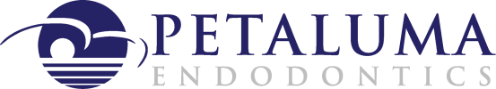 Petaluma Endodontics